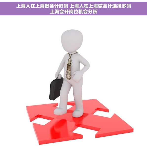 上海人在上海做会计好吗 上海人在上海做会计选择多吗上海会计岗位机会分析