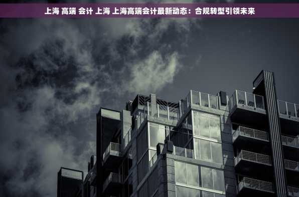 上海 高端 会计 上海 上海高端会计最新动态：合规转型引领未来