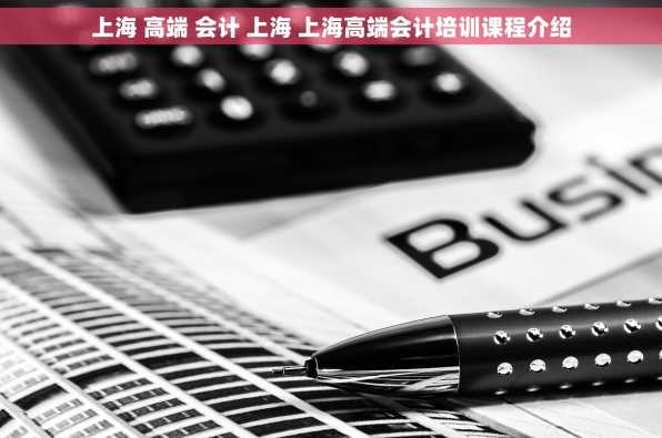 上海 高端 会计 上海 上海高端会计培训课程介绍