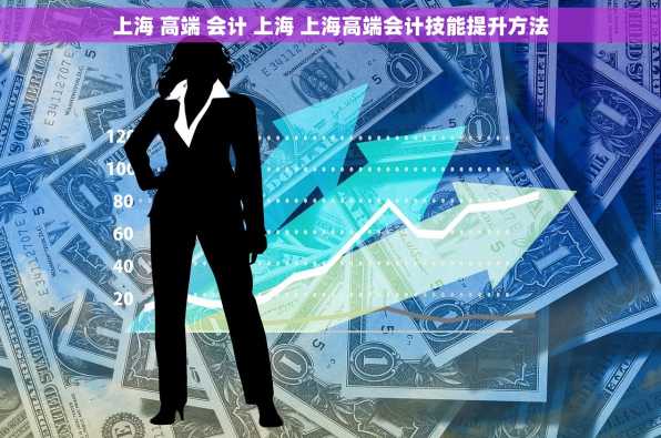 上海 高端 会计 上海 上海高端会计技能提升方法