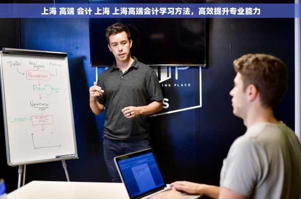 上海 高端 会计 上海 上海高端会计学习方法，高效提升专业能力