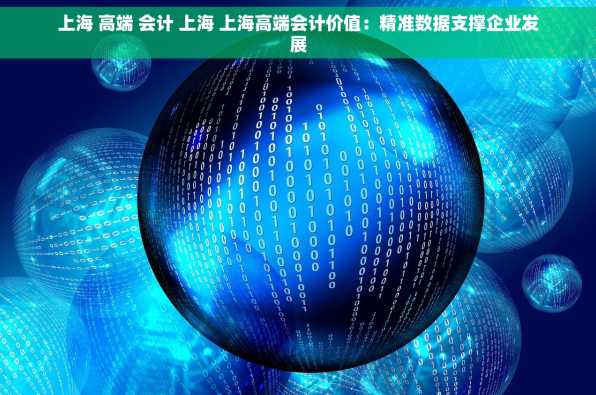 上海 高端 会计 上海 上海高端会计价值：精准数据支撑企业发展