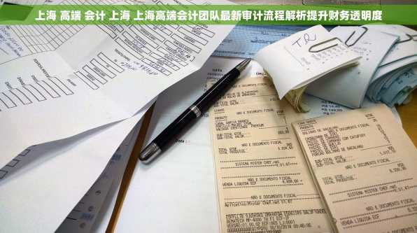 上海 高端 会计 上海 上海高端会计团队最新审计流程解析提升财务透明度