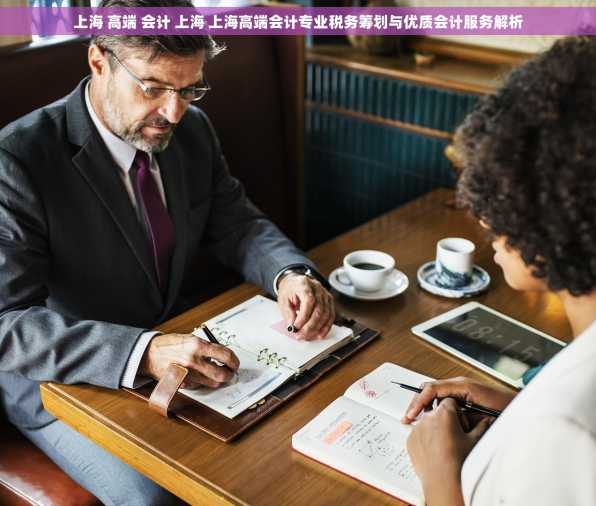 上海 高端 会计 上海 上海高端会计专业税务筹划与优质会计服务解析