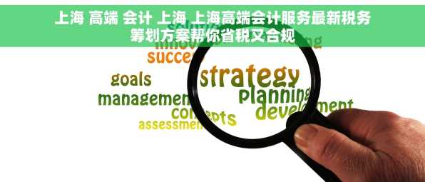 上海 高端 会计 上海 上海高端会计服务最新税务筹划方案帮你省税又合规