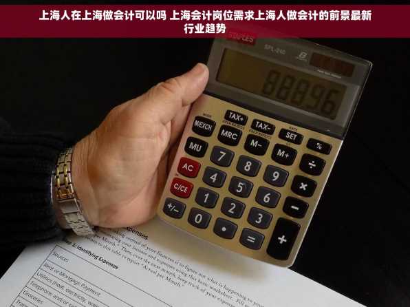 上海人在上海做会计可以吗 上海会计岗位需求上海人做会计的前景最新行业趋势