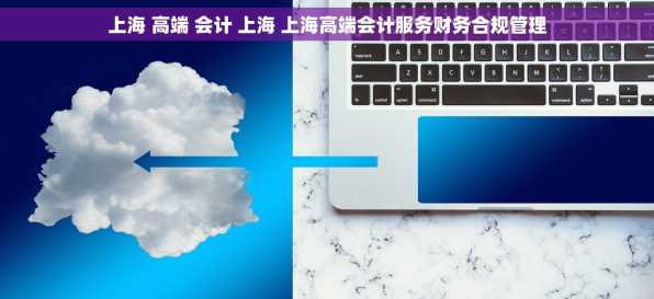 上海 高端 会计 上海 上海高端会计服务财务合规管理