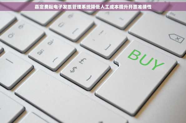 嘉定费耘电子发票管理系统降低人工成本提升开票准确性