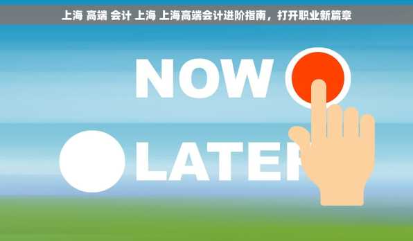 上海 高端 会计 上海 上海高端会计进阶指南，打开职业新篇章