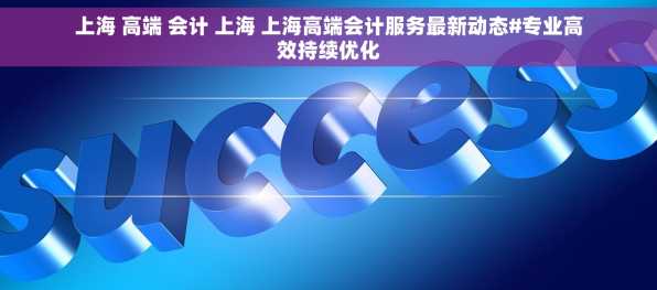 上海 高端 会计 上海 上海高端会计服务最新动态#专业高效持续优化