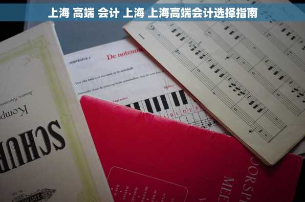上海 高端 会计 上海 上海高端会计选择指南