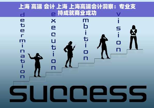 上海 高端 会计 上海 上海高端会计洞察：专业支持成就商业成功