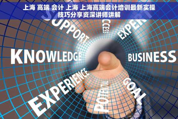上海 高端 会计 上海 上海高端会计培训最新实操技巧分享资深讲师讲解