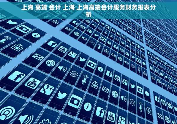上海 高端 会计 上海 上海高端会计服务财务报表分析