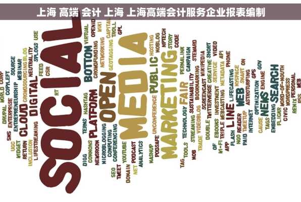 上海 高端 会计 上海 上海高端会计服务企业报表编制