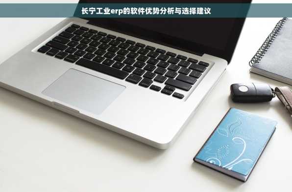 长宁工业erp的软件优势分析与选择建议