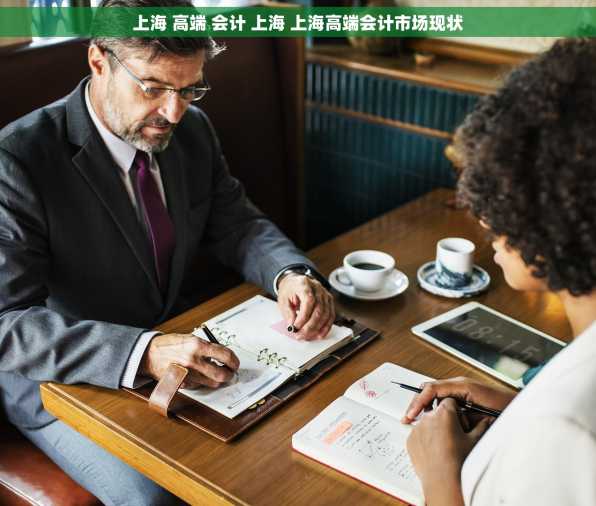 上海 高端 会计 上海 上海高端会计市场现状