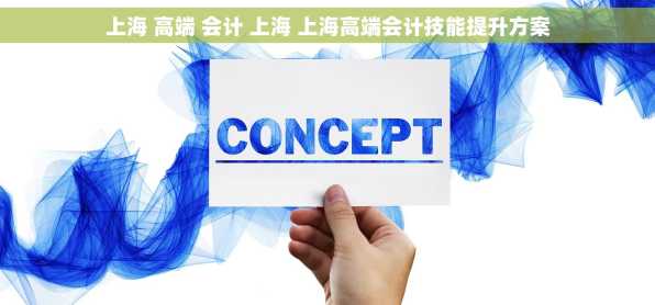 上海 高端 会计 上海 上海高端会计技能提升方案