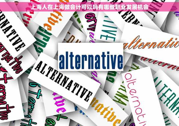 上海人在上海做会计可以吗有哪些职业发展机会
