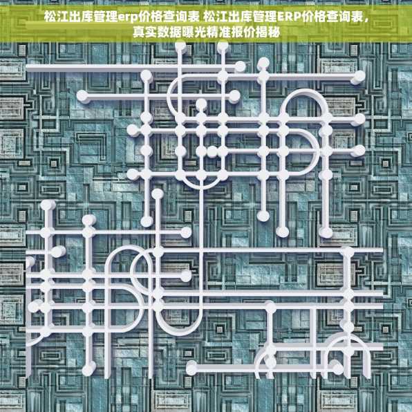 松江出库管理erp价格查询表 松江出库管理ERP价格查询表，真实数据曝光精准报价揭秘
