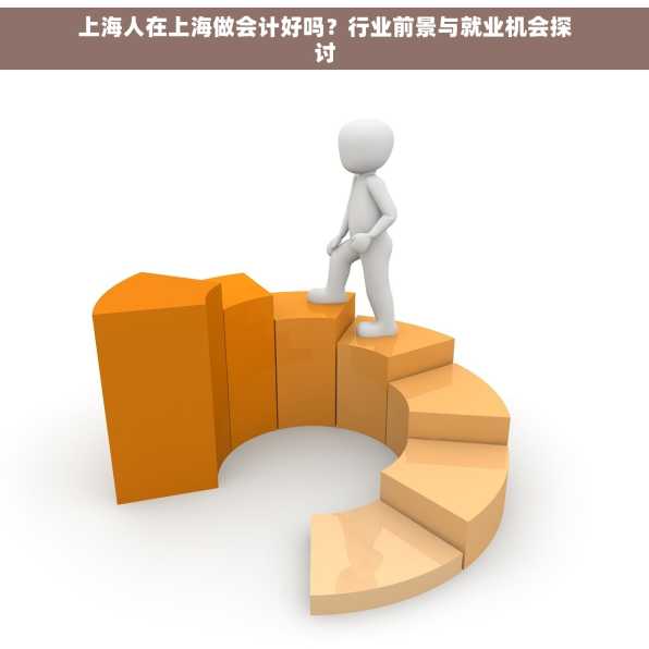 上海人在上海做会计好吗？行业前景与就业机会探讨