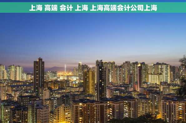上海 高端 会计 上海 上海高端会计公司上海