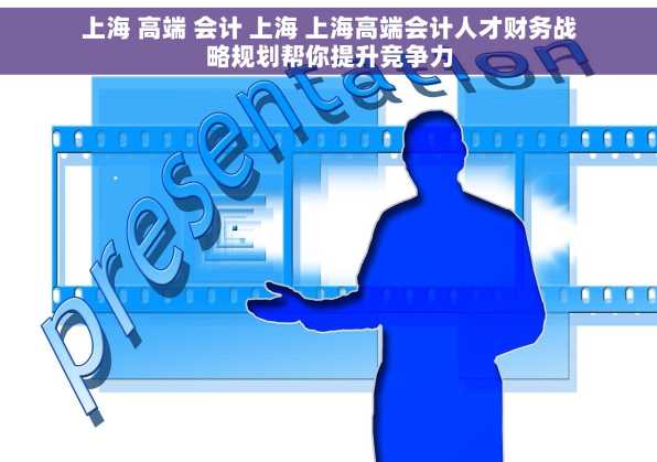 上海 高端 会计 上海 上海高端会计人才财务战略规划帮你提升竞争力