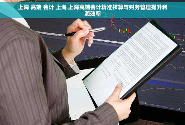 上海 高端 会计 上海 上海高端会计精准核算与财务管理提升利润效率