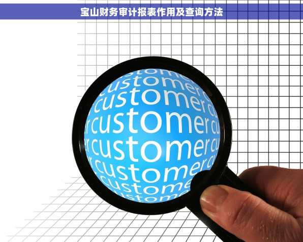 宝山财务审计报表作用及查询方法
