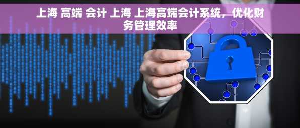 上海 高端 会计 上海 上海高端会计系统，优化财务管理效率
