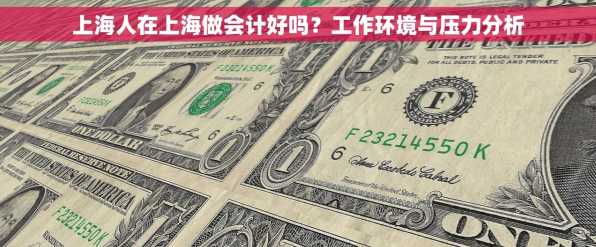 上海人在上海做会计好吗？工作环境与压力分析