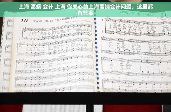 上海 高端 会计 上海 你关心的上海高端会计问题，这里都有答案