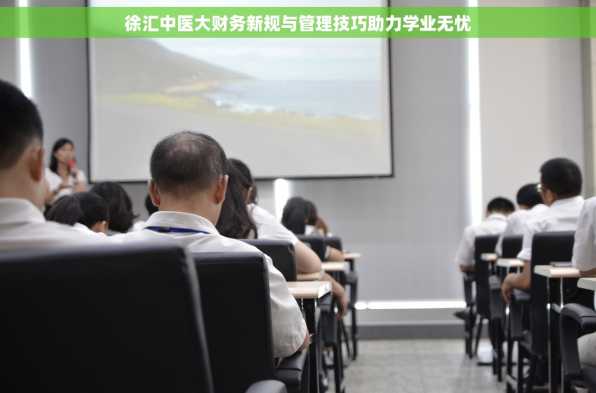 徐汇中医大财务新规与管理技巧助力学业无忧