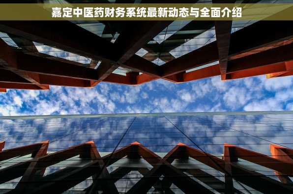 嘉定中医药财务系统最新动态与全面介绍