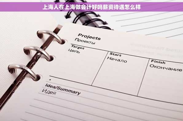 上海人在上海做会计好吗薪资待遇怎么样