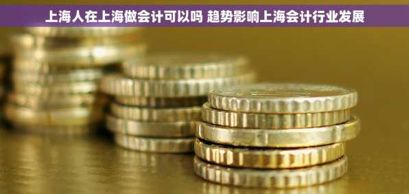 上海人在上海做会计可以吗 趋势影响上海会计行业发展