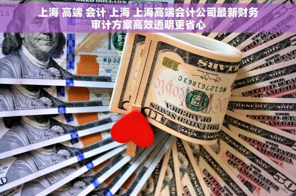 上海 高端 会计 上海 上海高端会计公司最新财务审计方案高效透明更省心