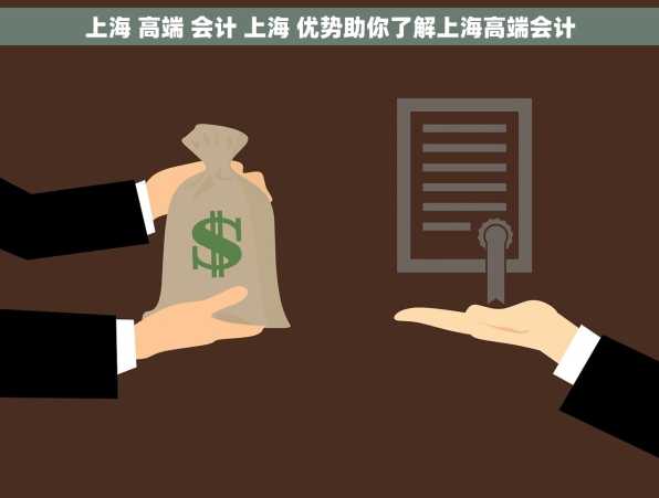 上海 高端 会计 上海 优势助你了解上海高端会计