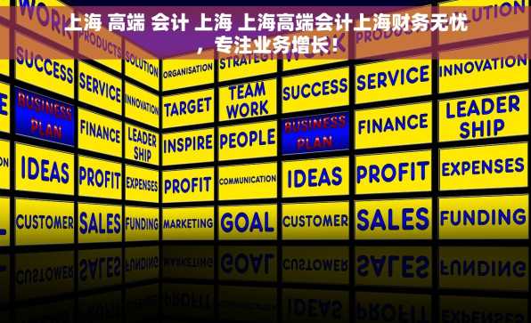 上海 高端 会计 上海 上海高端会计上海财务无忧，专注业务增长！