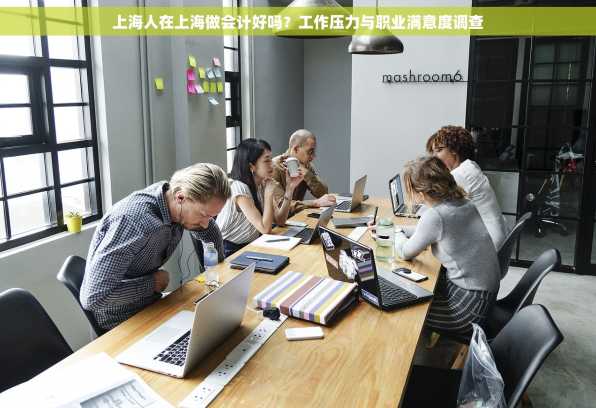 上海人在上海做会计好吗？工作压力与职业满意度调查