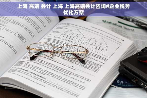 上海 高端 会计 上海 上海高端会计咨询#企业税务优化方案