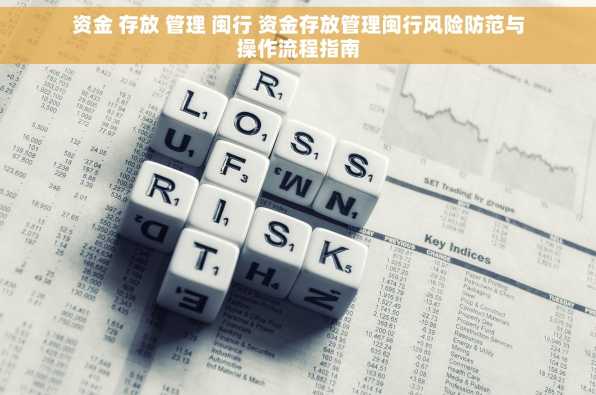 资金 存放 管理 闽行 资金存放管理闽行风险防范与操作流程指南