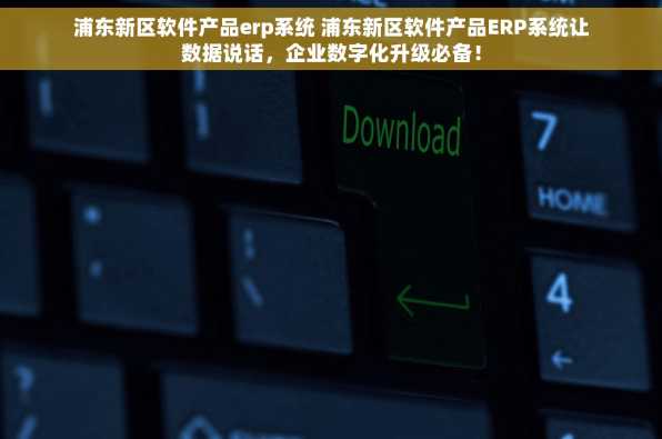 浦东新区软件产品erp系统 浦东新区软件产品ERP系统让数据说话，企业数字化升级必备！