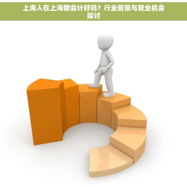 上海人在上海做会计好吗？行业前景与就业机会探讨
