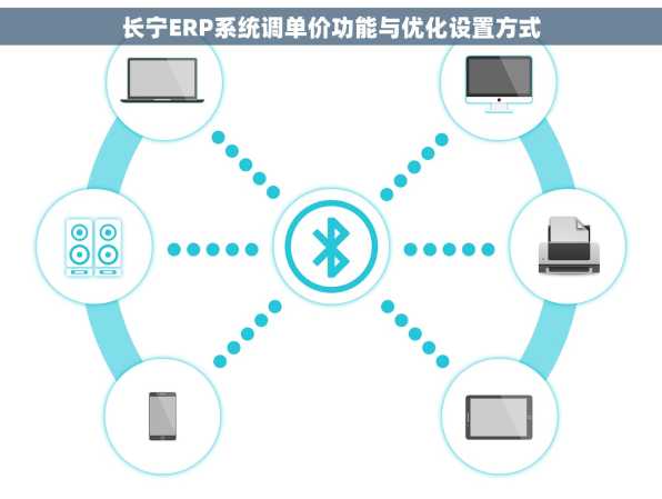 长宁ERP系统调单价功能与优化设置方式
