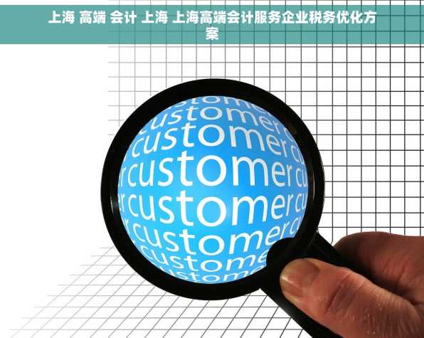 上海 高端 会计 上海 上海高端会计服务企业税务优化方案