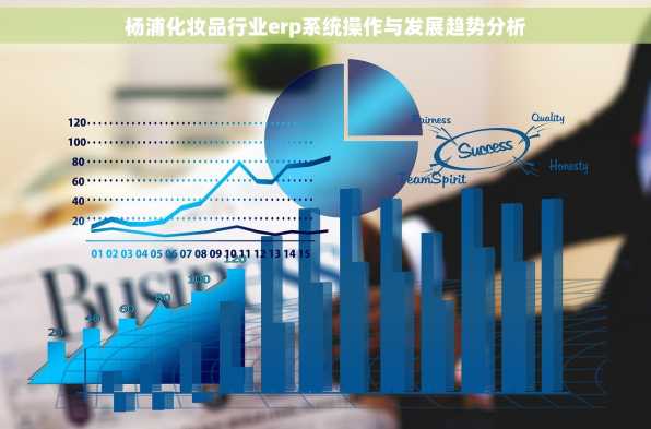 杨浦化妆品行业erp系统操作与发展趋势分析