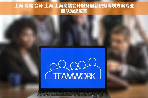 上海 高端 会计 上海 上海高端会计服务最新税务筹划方案专业团队为您解答