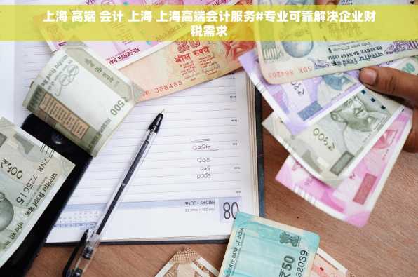 上海 高端 会计 上海 上海高端会计服务#专业可靠解决企业财税需求