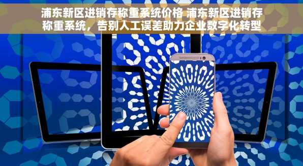 浦东新区进销存称重系统价格 浦东新区进销存称重系统，告别人工误差助力企业数字化转型